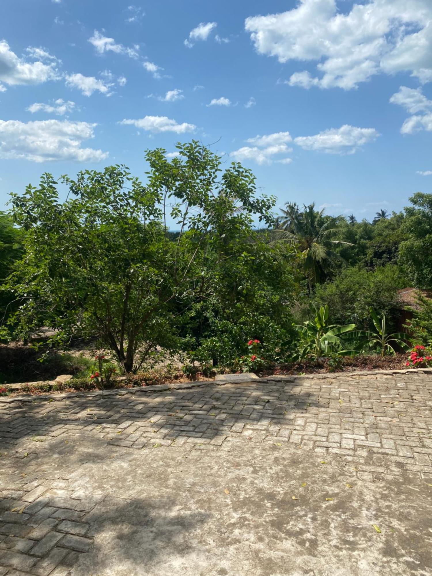 Mikoko Beach & Cottages Bagamoyo Buitenkant foto